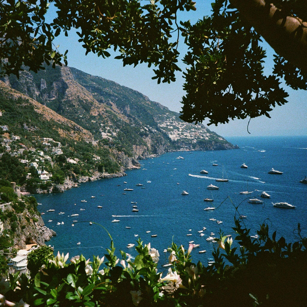 Amalfi Forrest