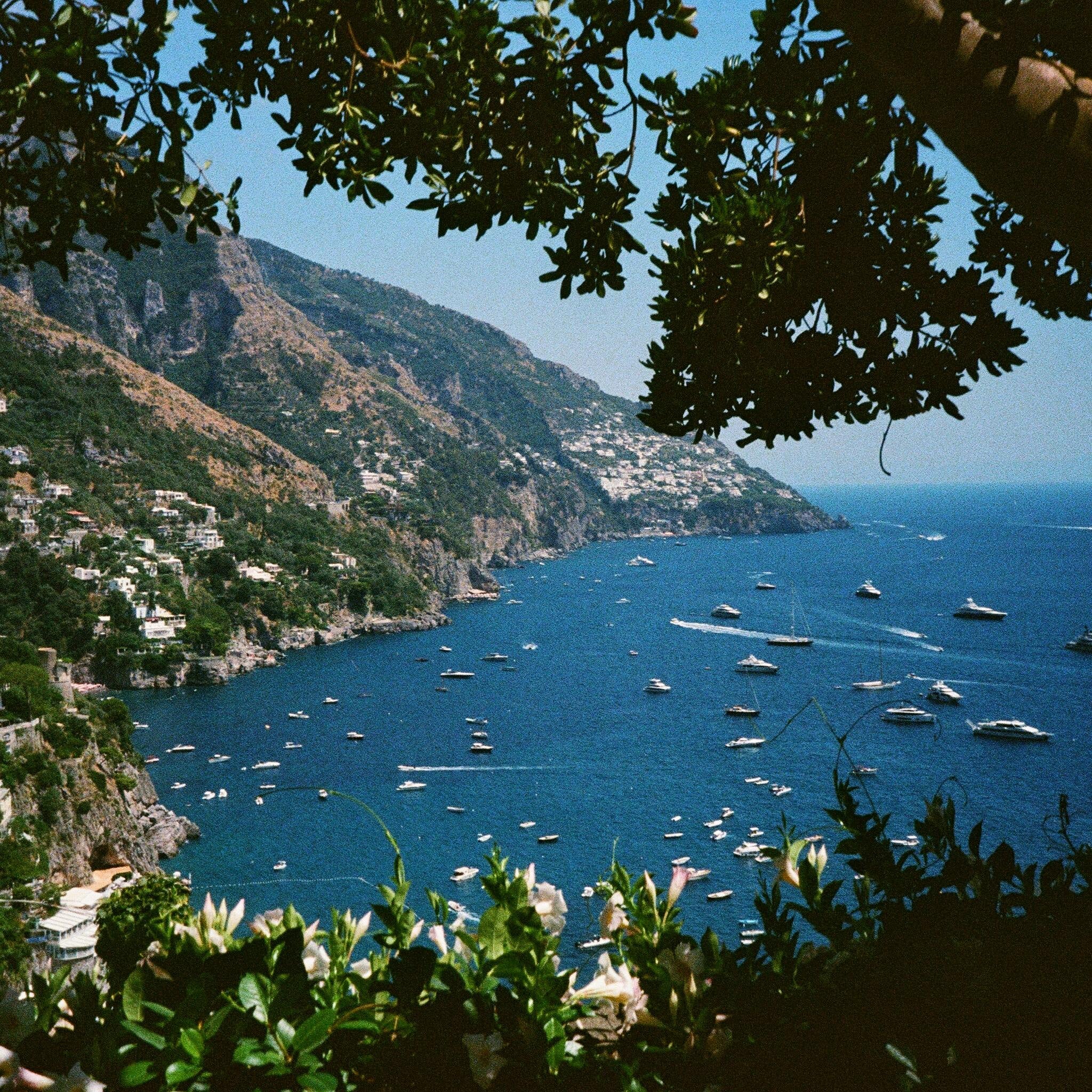 Amalfi Forrest